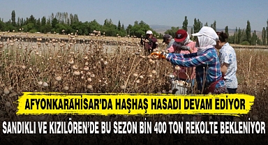 AFYONKARAHİSAR’DA HAŞHAŞ HASADI DEVAM EDİYOR