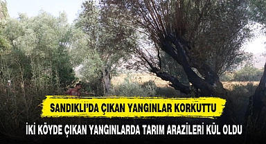 AFYONKARAHİSAR'DA İKİ KÖYDE ÇIKAN YANGINLARDA TARIM ARAZİLERİ KÜL OLDU