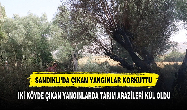 AFYONKARAHİSAR'DA İKİ KÖYDE ÇIKAN YANGINLARDA TARIM ARAZİLERİ KÜL OLDU