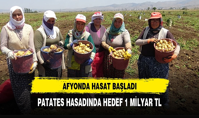 Afyonkarahisar'da patates hasadında hedef 1 milyar TL