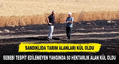 Arazi yangınında 50 dekarlık alan zarar gördü