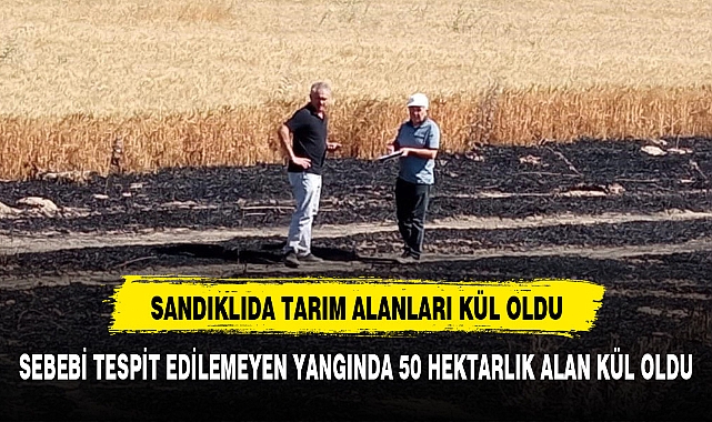 Arazi yangınında 50 dekarlık alan zarar gördü