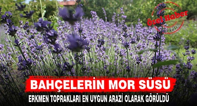 BAHÇELERİN MOR SÜSÜ