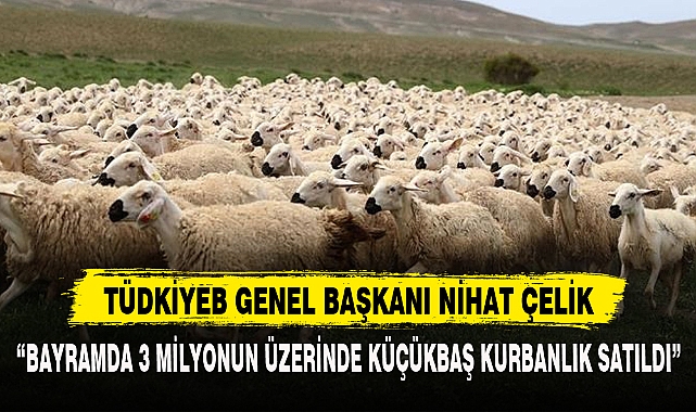 “BAYRAMDA 3 MİLYONUN ÜZERİNDE KÜÇÜKBAŞ KURBANLIK SATILDI”