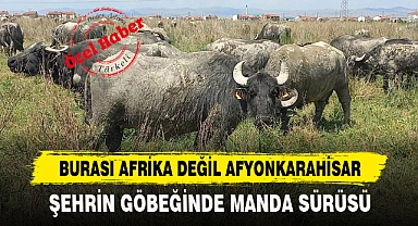 BURASI AFRİKA DEĞİL AFYONKARAHİSAR