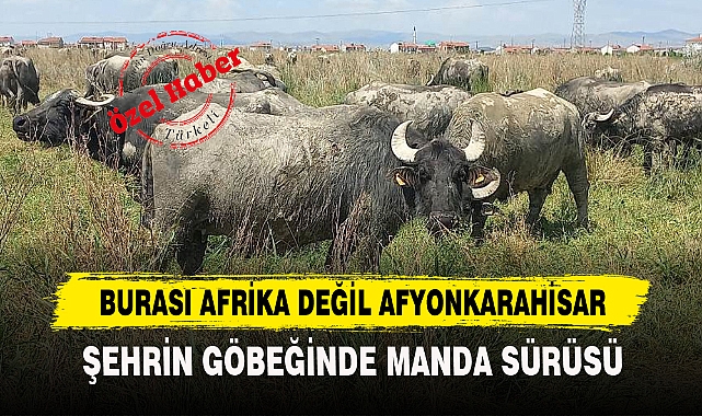BURASI AFRİKA DEĞİL AFYONKARAHİSAR