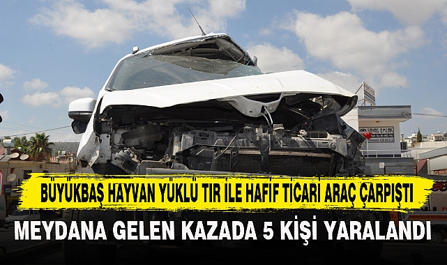 BÜYÜKBAŞ HAYVAN YÜKLÜ TIR İLE HAFİF TİCARİ ARAÇ ÇARPIŞTI