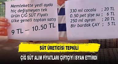 ÇİĞ SÜT ALIM FİYATI ÇİFTÇİYİ İSYAN ETTİRDİ