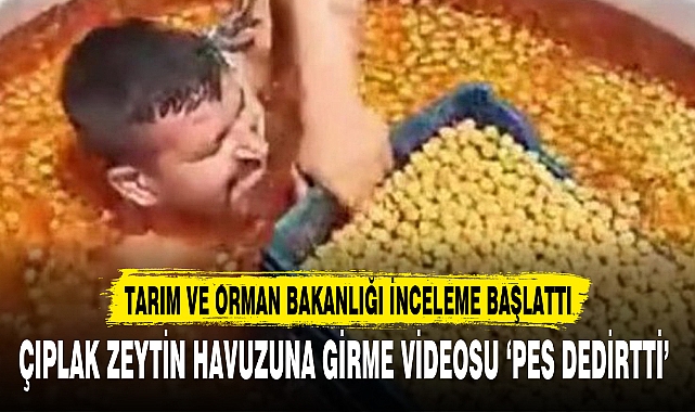 ÇIPLAK ZEYTİN HAVUZUNA GİRME VİDEOSU ‘PES DEDİRTTİ’