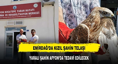 EMİRDAĞ'DA KIZIL ŞAHİN TELAŞI