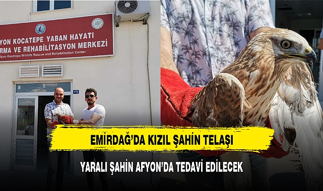 EMİRDAĞ'DA KIZIL ŞAHİN TELAŞI