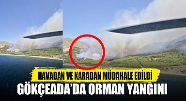 GÖKÇEADA’DA ORMAN YANGINI
