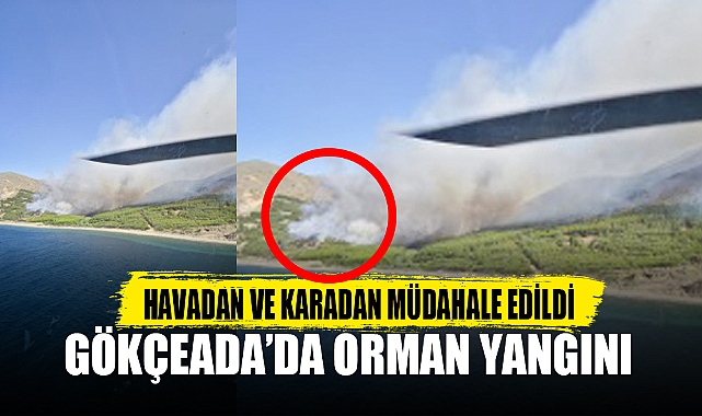 GÖKÇEADA’DA ORMAN YANGINI