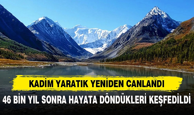KADİM YARATIK YENİDEN CANLANDI