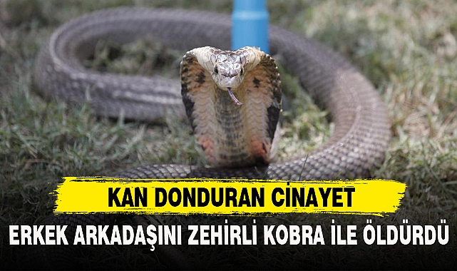 KAN DONDURAN CİNAYET