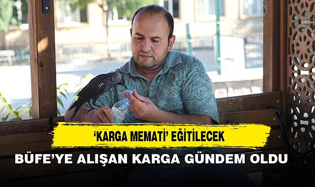 'KARGA MEMATİ' EĞİTİLECEK