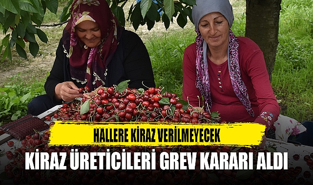 KİRAZ ÜRETİCİLERİ GREV KARARI ALDI