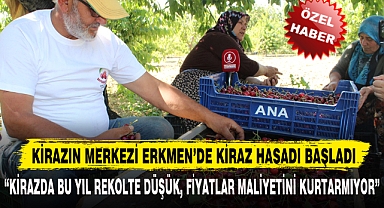 KİRAZIN MERKEZİ ERKMEN'DE KİRAZ HASADI BAŞLADI