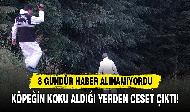 KÖPEĞİN KOKU ALDIĞI YERDEN CESET ÇIKTI!