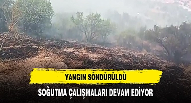 KORKUTAN YANGIN SÖNDÜRÜLDÜ 40 DEKARLIK ALAN KÜL OLDU