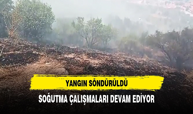 KORKUTAN YANGIN SÖNDÜRÜLDÜ 40 DEKARLIK ALAN KÜL OLDU