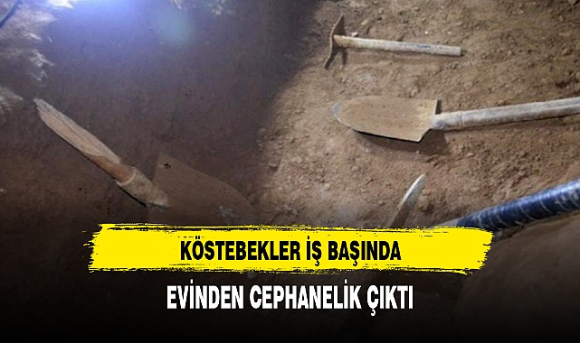 KÖSTEBEĞİN EVİNDEN CEPHANELİK ÇIKTI