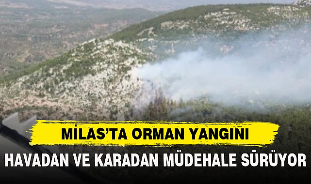 MİLAS’TA ORMAN YANGINI