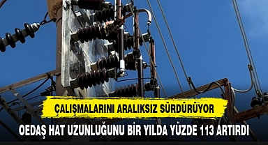OEDAŞ HAT UZUNLUĞUNU BİR YILDA YÜZDE 113 ARTIRDI