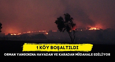 ORMAN YANGININA HAVADAN VE KARADAN MÜDAHALE EDİLİYOR