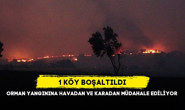 ORMAN YANGININA HAVADAN VE KARADAN MÜDAHALE EDİLİYOR