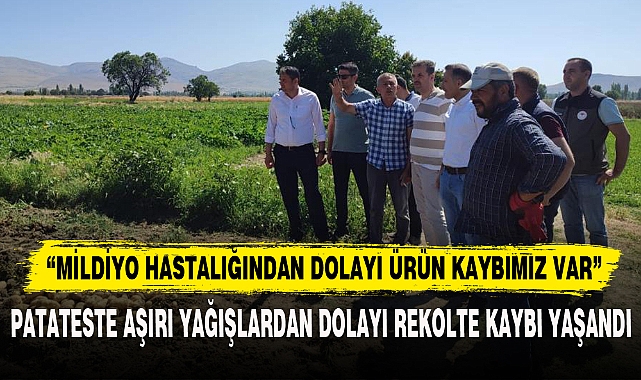 PATATESTE AŞIRI YAĞIŞLARDAN DOLAYI REKOLTE KAYBI YAŞANDI