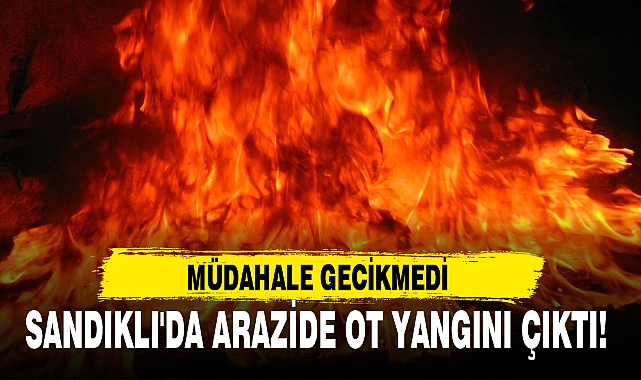 SANDIKLI'DA ARAZİDE OT YANGINI ÇIKTI!
