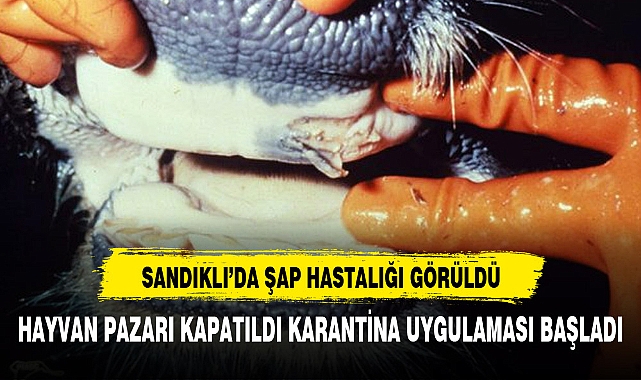 SANDIKLI'DA ŞAP HASTALIĞI GÖRÜLDÜ
