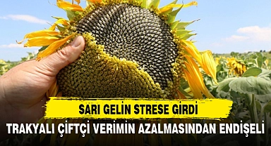 SARI GELİN STRESE GİRDİ