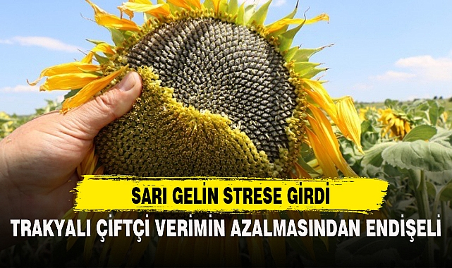 SARI GELİN STRESE GİRDİ