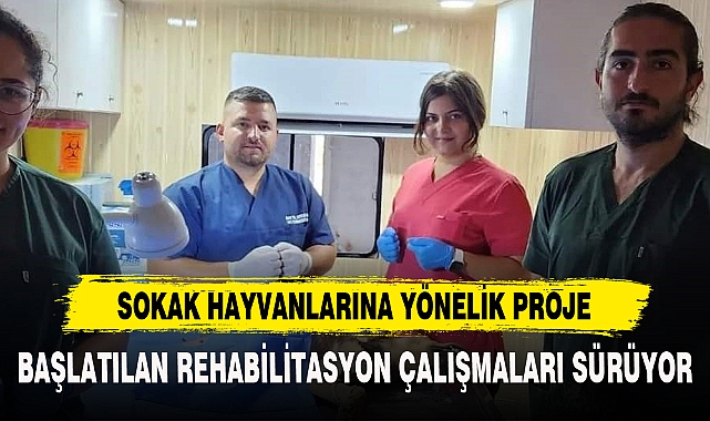 SOKAK HAYVANLARINA YÖNELİK PROJE