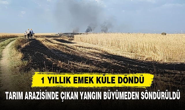 TARIM ARAZİSİNDE ÇIKAN YANGIN BÜYÜMEDEN SÖNDÜRÜLDÜ
