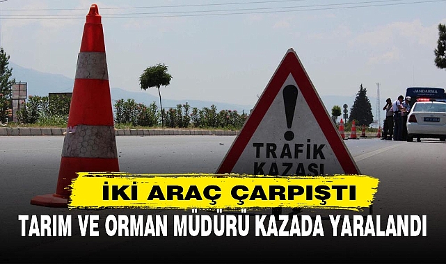 TARIM VE ORMAN MÜDÜRÜ KAZADA YARALANDI