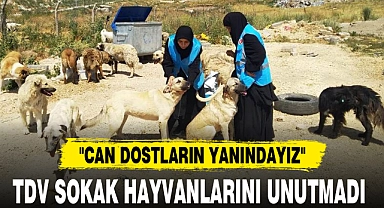 TDV SOKAK HAYVANLARINI UNUTMADI