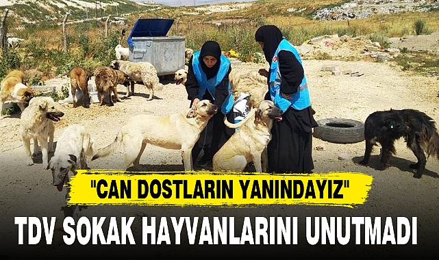 TDV SOKAK HAYVANLARINI UNUTMADI