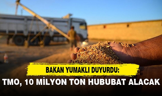 TMO, 10 MİLYON TON HUBUBAT ALACAK