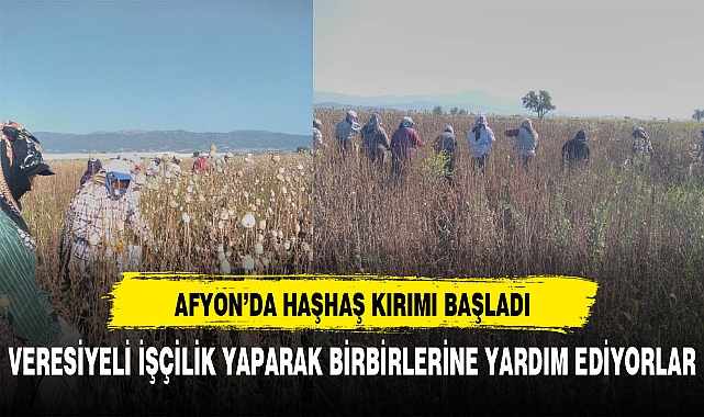 VERESİYELİ İŞÇİLİK YAPARAK BİRBİRLERİNE YARDIM EDİYORLAR