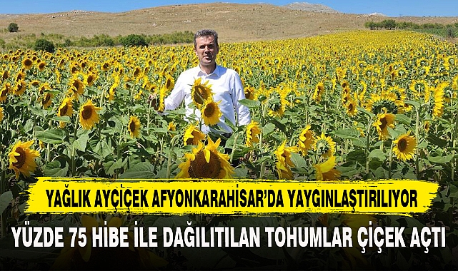 YAĞLIK AYÇİÇEK AFYONKARAHİSAR’DA YAYGINLAŞTIRILIYOR