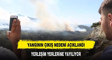 YANGIN YERLEŞİM BİRİMLERİNE YAYILIYOR