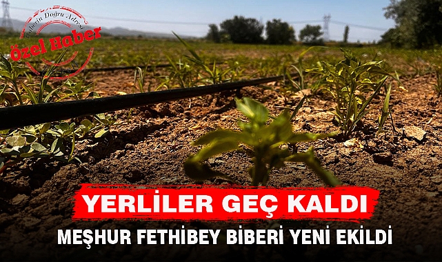 YERLİLER GEÇ KALDI