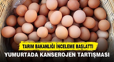 YUMURTADA KANSEROJEN TARTIŞMASI