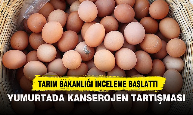 YUMURTADA KANSEROJEN TARTIŞMASI