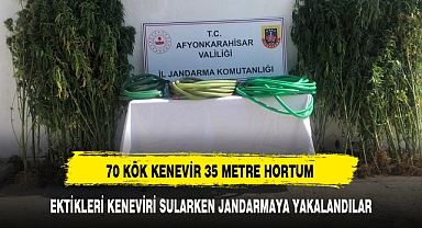 70 KÖK KENEVİR 35 METRE HORTUM AFYON'DA UYUŞTURUCU OPERASYONU