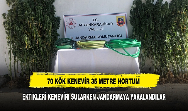 70 KÖK KENEVİR 35 METRE HORTUM AFYON'DA UYUŞTURUCU OPERASYONU