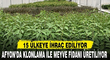 AFYON’DA KLONLAMA İLE MEYVE FİDANI ÜRETİLİYOR